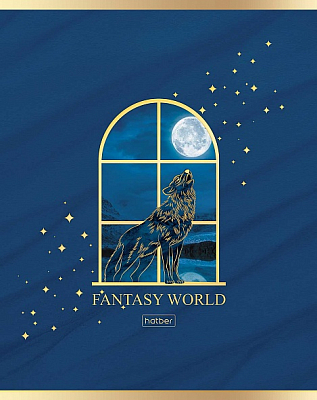 Тетрадь 48л клетка А5 Fantasy world