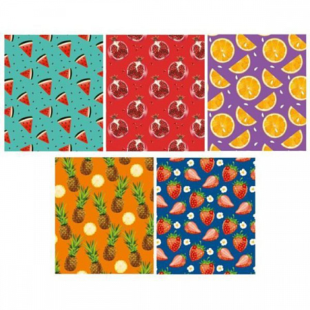 Тетрадь 24л клетка А5 Вектор