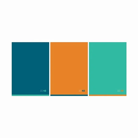 Тетрадь 48л клетка А4 Monocolor